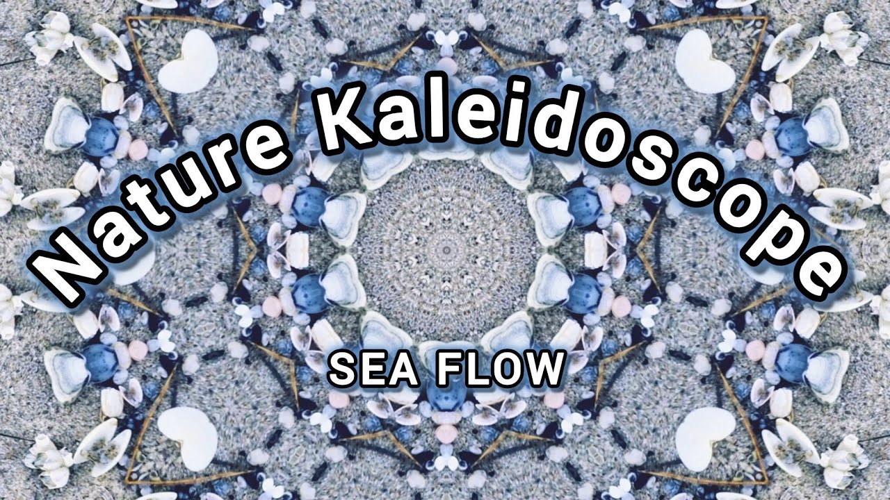 Ocean Shell Kaleidoscope 🌊 4K Nature Mandala for Deep Relaxation & Mindful Calm