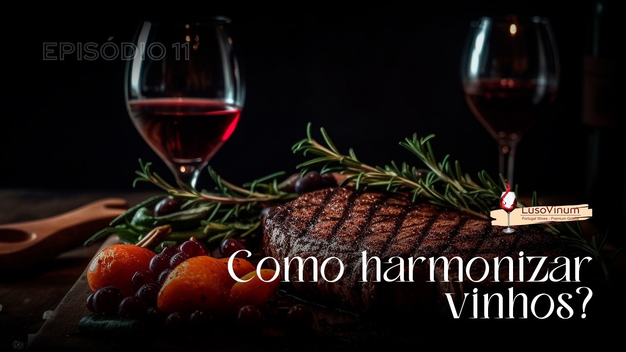 Como harmonizar vinhos?