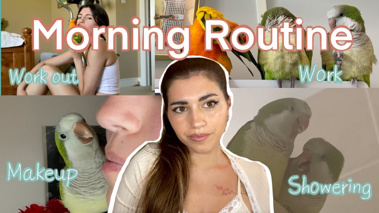 My Morning Routine With 3 Parrots