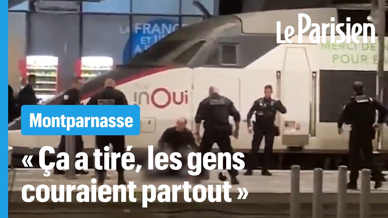 Coups de feu gare Montparnasse : des policiers tirent sur un homme armé d'un couteau