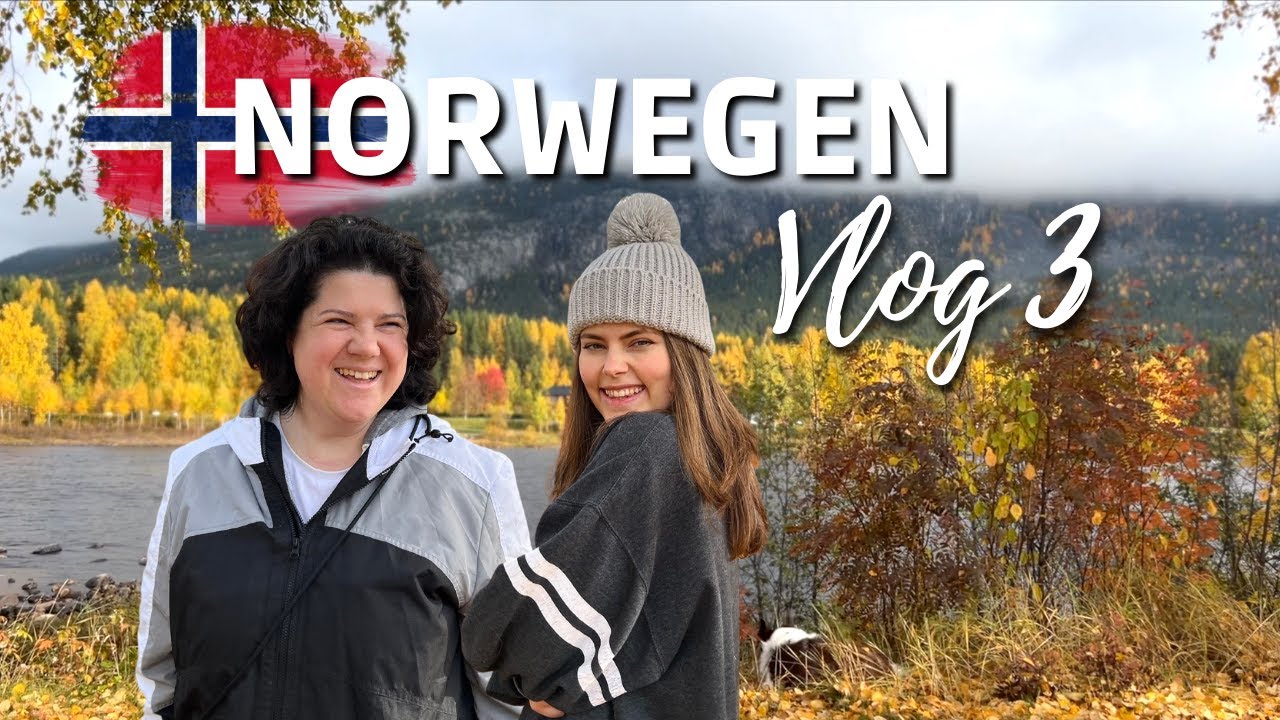 Norwegen Vlog Teil 3 | Unterwegs mit Hund und Wohnmobil | Kriss Colours