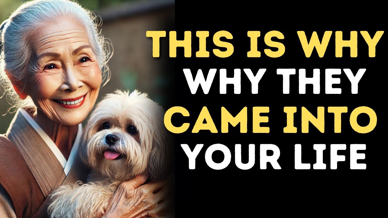 The Spiritual Mission of Dogs and Cats  | Buddhist Teachings