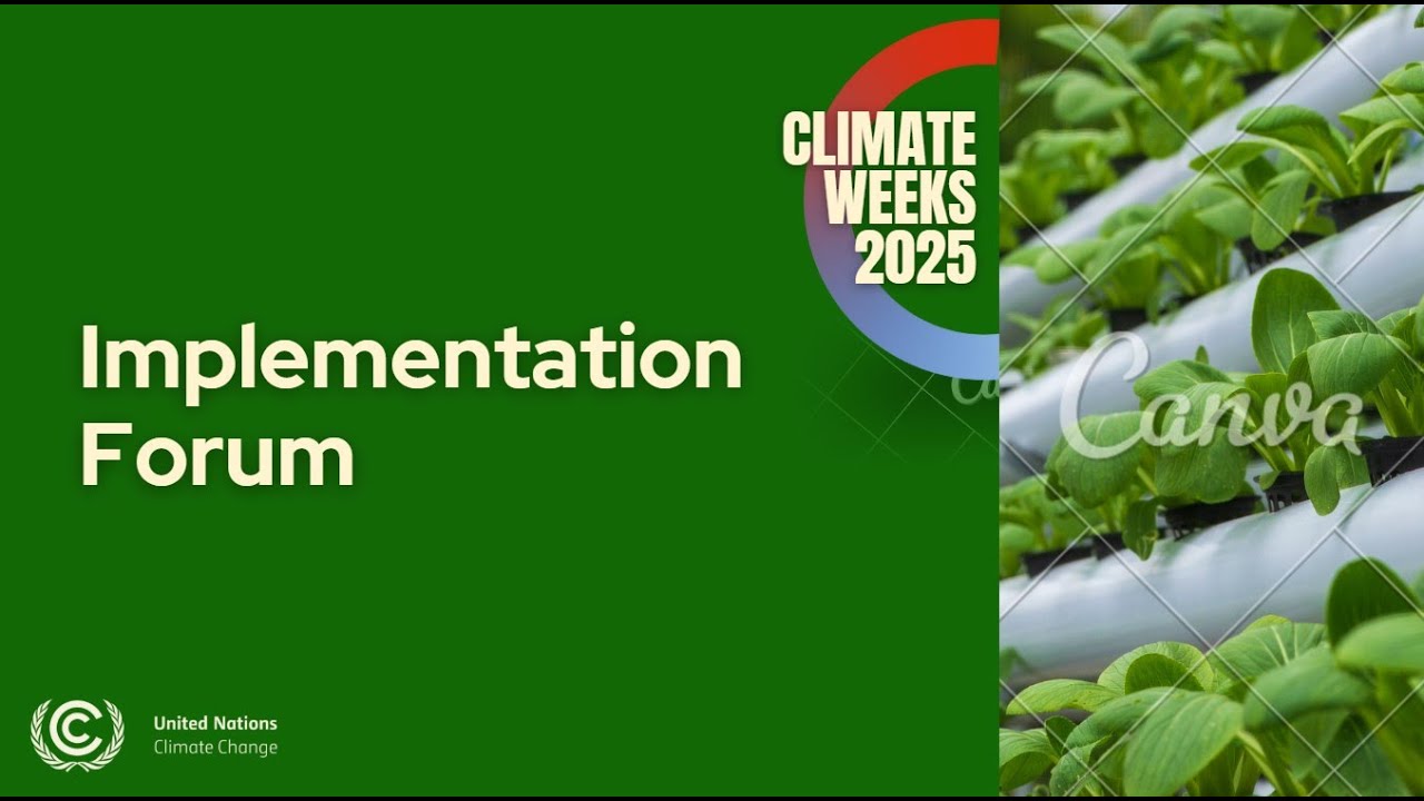 Accelerating Synergies among the Rio Conventions in Africa: