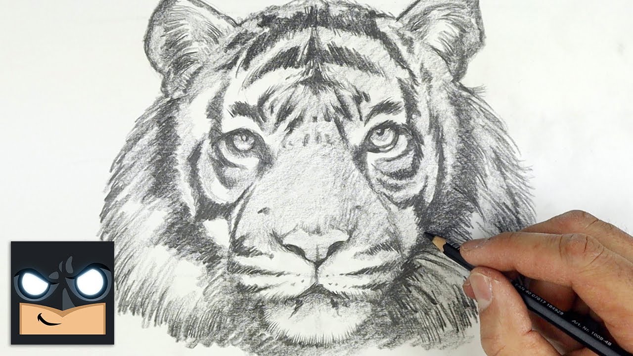 How To Draw Tiger | Beginner Pencil Tutorial (Step-by-Step)