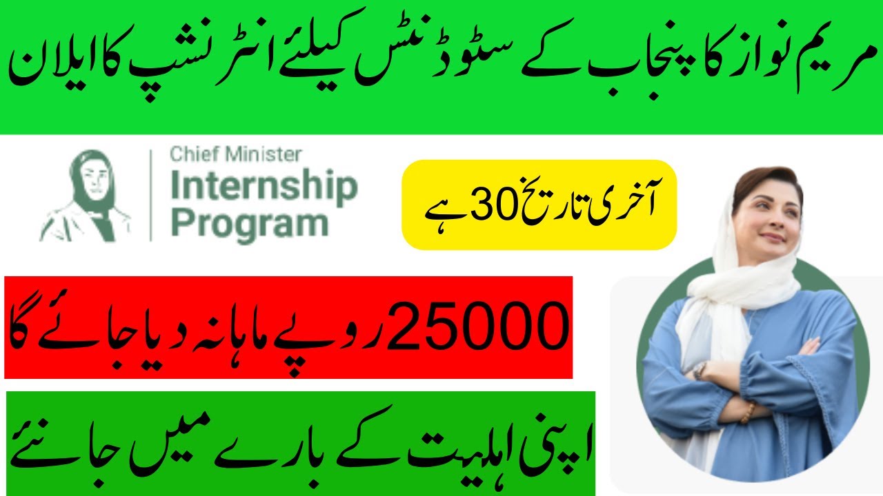 How To Apply Online For CM Internship Program 2024 | Government of Punjab Internship Program