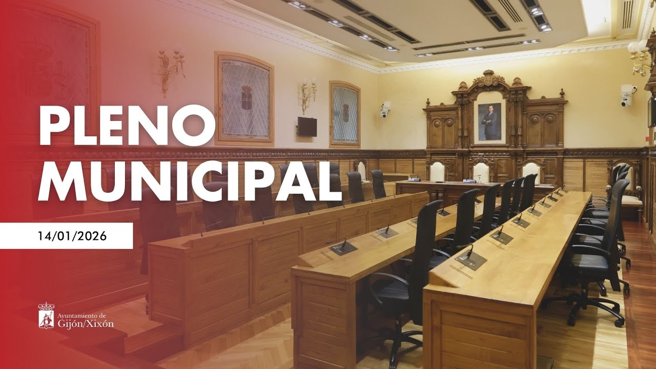 Pleno 14 de enero de 2026