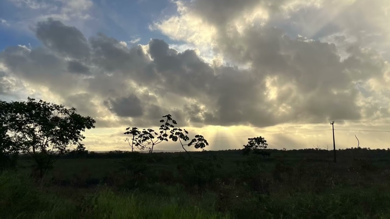 Forehead to the Earth - Baba Nam Kevalam