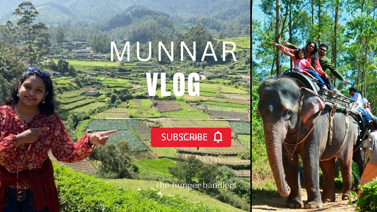 | Kerala | Munnar | Munnar vlog | 2025 | best trip | Kerala trip | The hunger handlers