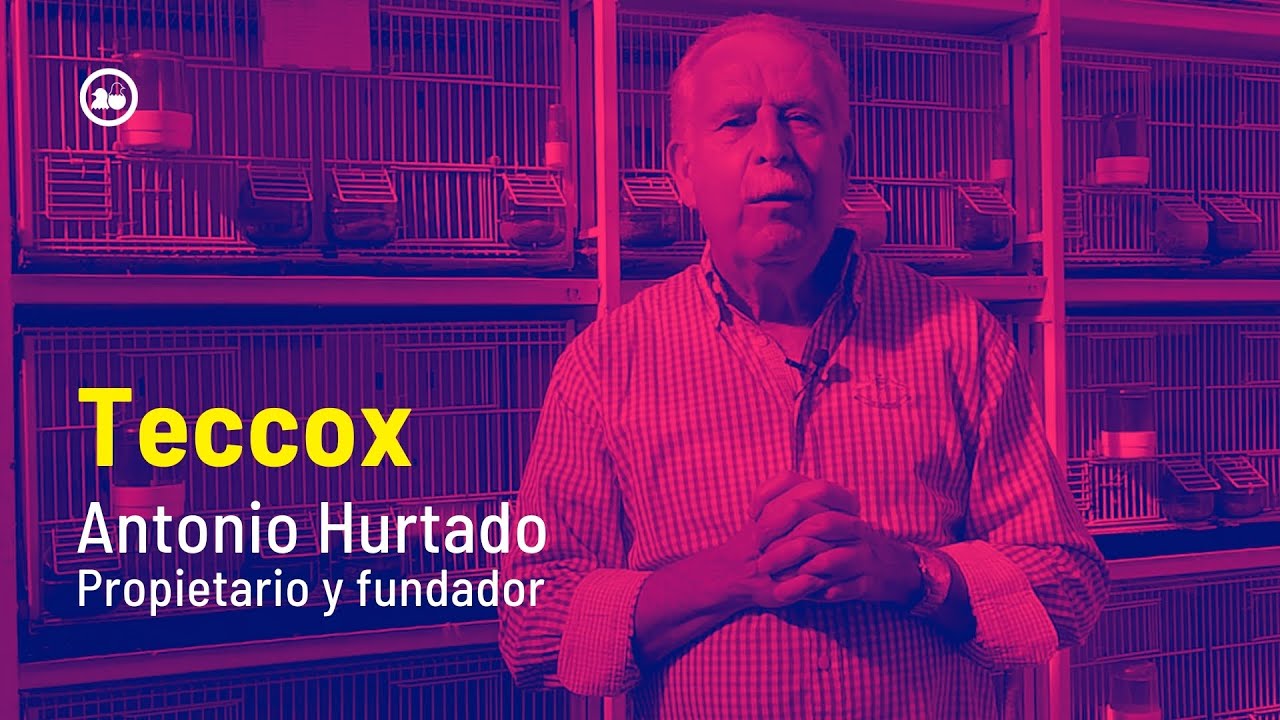 Teccox de Canariz2