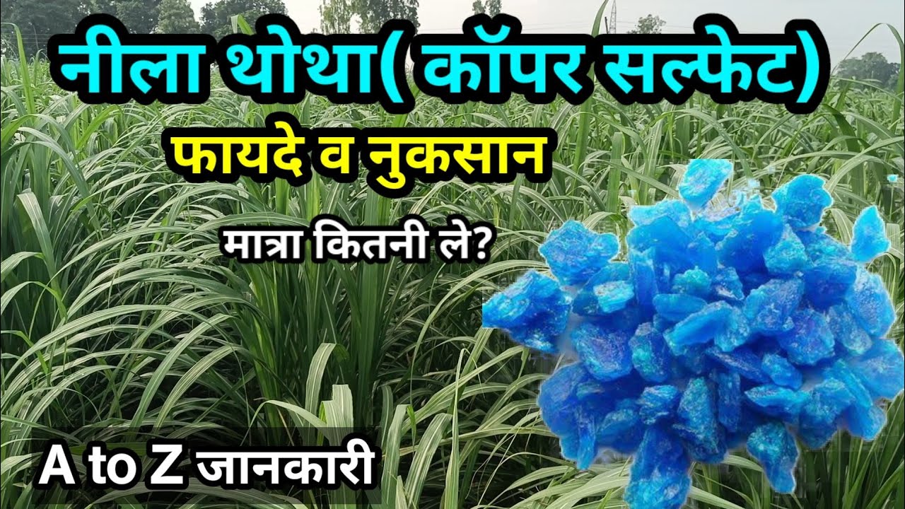 नीला थोथा| सम्पूर्ण जानकारी | Neela thotha | copper sulphate | neele thothe ke fayde