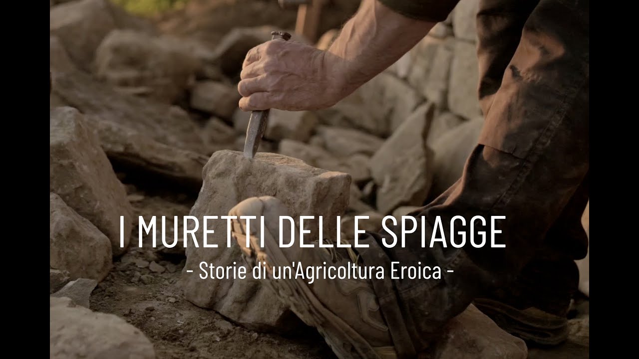 I muretti delle Spiagge di Borgotaro - Storia di Agricoltura Eroica