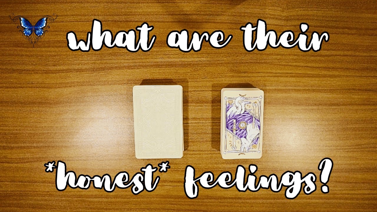❤️‍🔥❤️‍🩹 *NC* THEIR *HONEST* FEELINGS ABOUT YOU RIGHT NOW 😍🥰 *pick a card* Timeless Tarot Reading 🔮💫