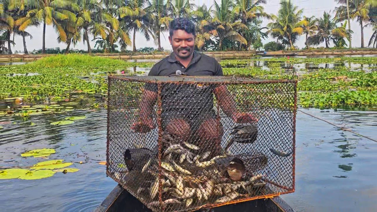 ബോക്സ്‌ കൂട്ടിൽ തീറ്റ സെറ്റ് ചെയ്ത് വെച്ചപ്പോൾ കിട്ടിയ മീൻ