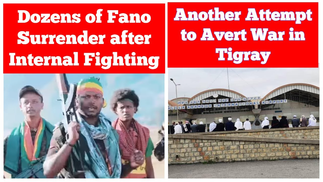 Dozens of Fano Surrender after Internal Fighting | Another Attempt to Avert War in Tigray