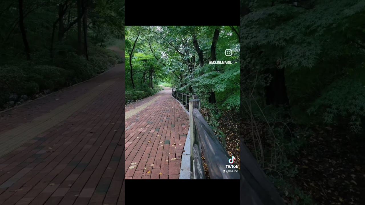 Out for a fast walk ! #namsandullegil #namsanpark #namsan #2024 #seoullife🇰🇷 #walking #8,22km