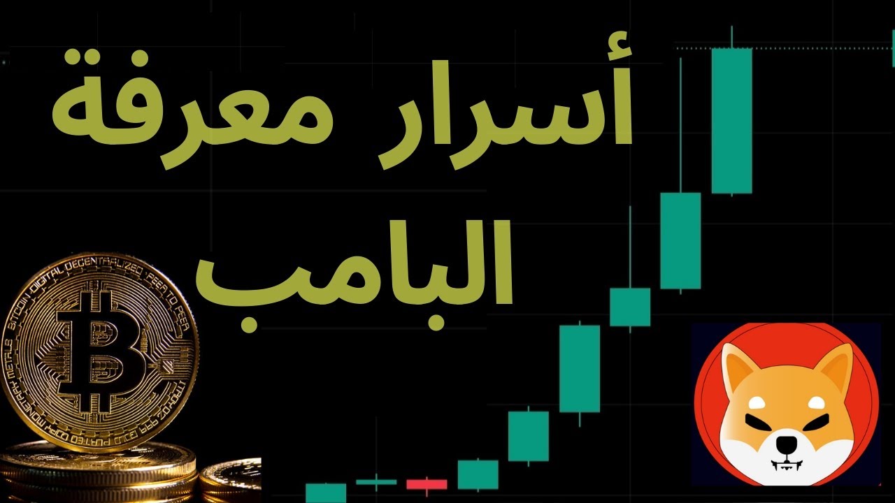 كل ما يجب أن تعرفه عن البامب في العملات الرقمية -- و طريقة الاستفادة منه