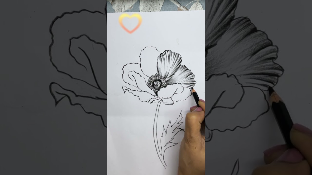 Amazing ! CHARCOAL  FLOWER ART  #drawing #arttutorial