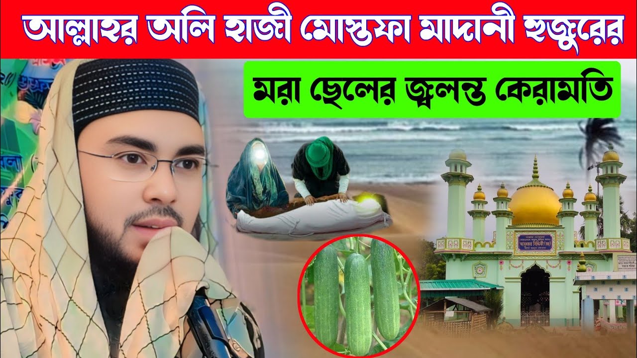 হাজী মোস্তফা মাদানী হুজুরের মরা ছেলের জ্বলন্ত কেরামতি / মাওলানা সেবগাতুল্লাহ সাহেব (9733856281)