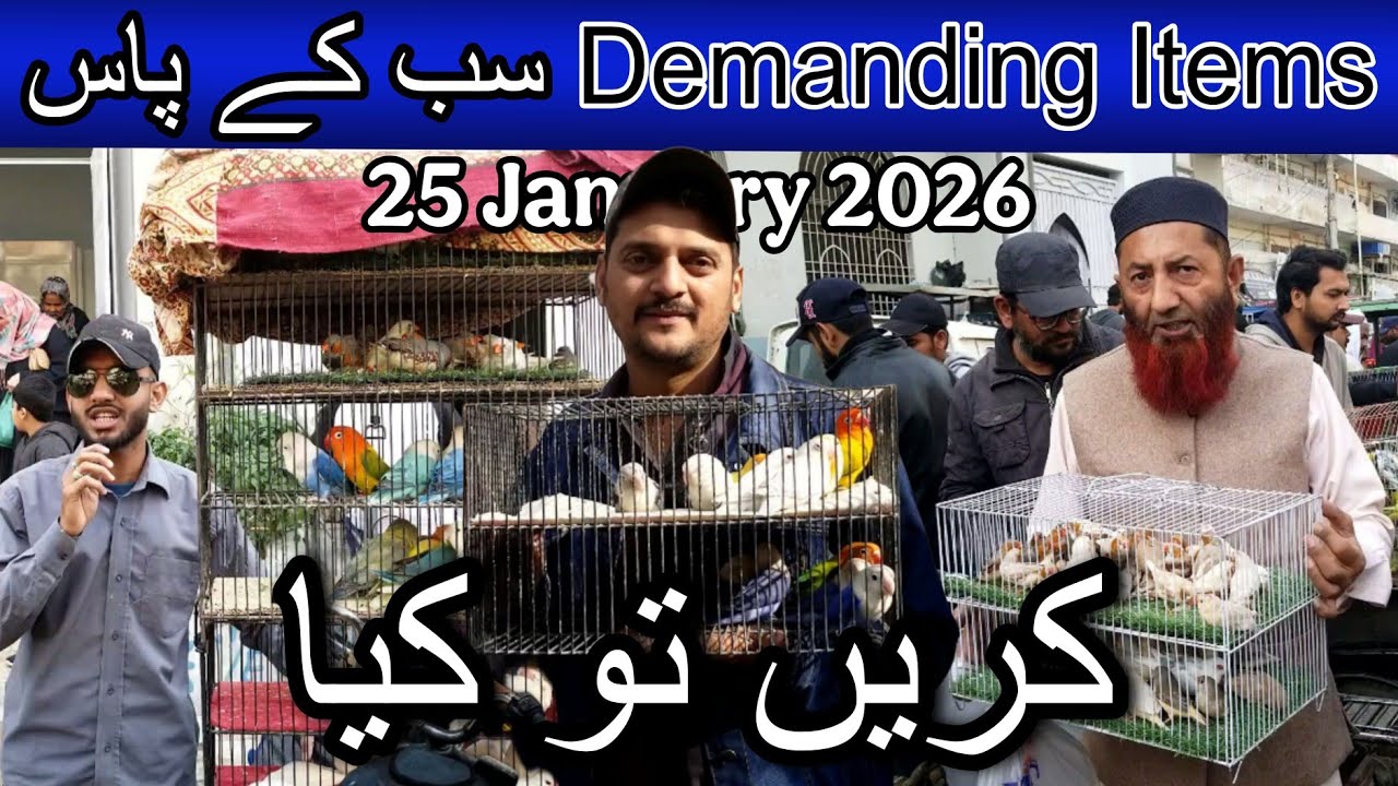 Lalukhet  birds market part 2 25 January 2026 | Cheapest price birds market in Karachi Pakistan