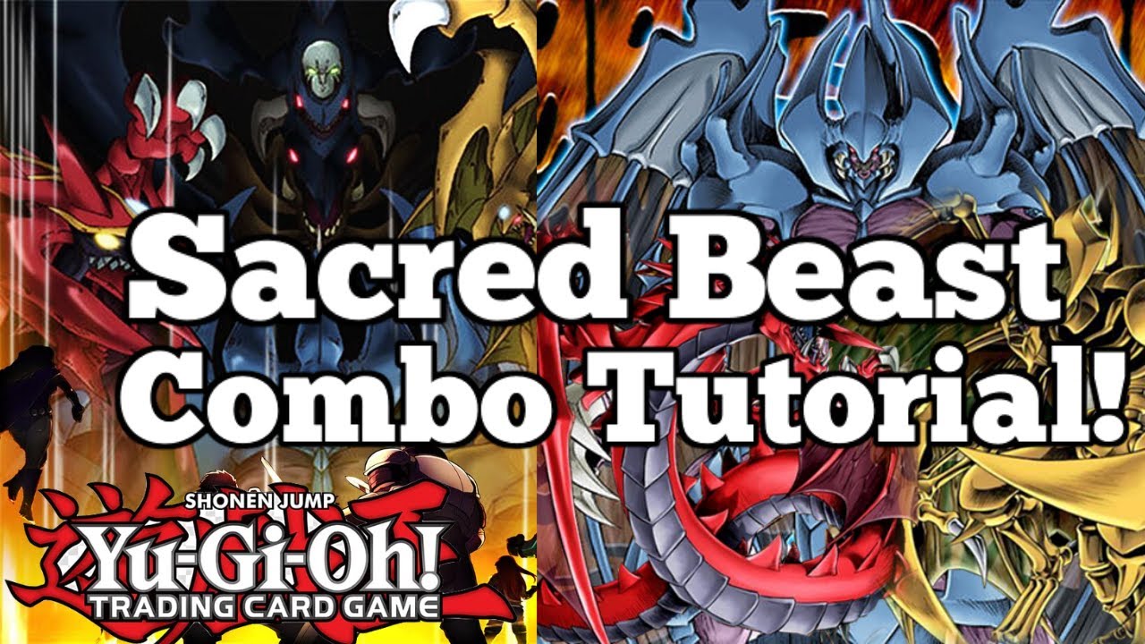 Yu-Gi-Oh! SACRED BEAST Combo Tutorial! + Test Hand!