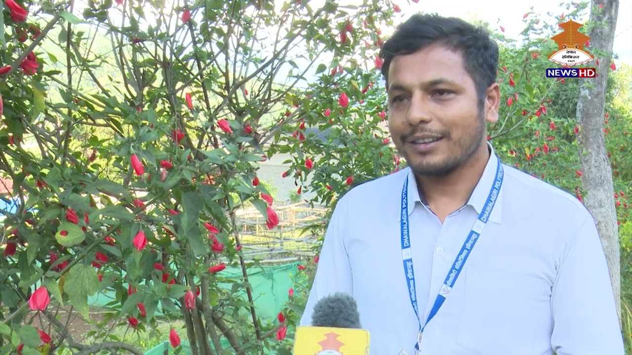 CTEVT जागरण || NTV HD || 2082/09/02 || NEPAL TELEVISION