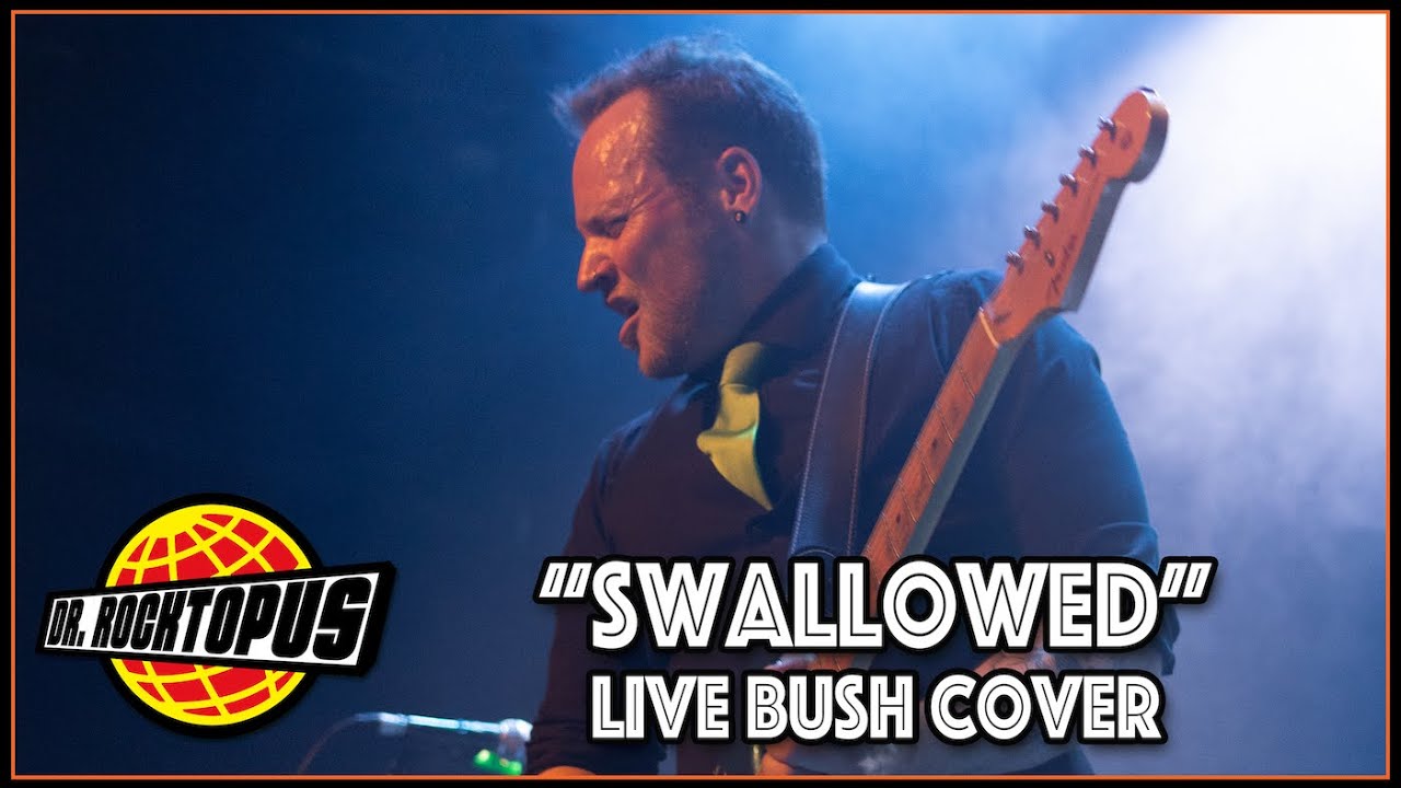 SWALLOWED - Bush [Live Cover by Dr. Rocktopus]