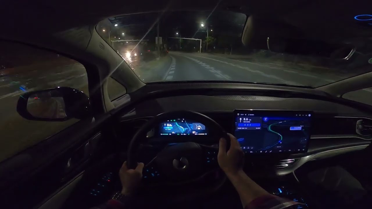 2024 Denza D9 POV Night Drive