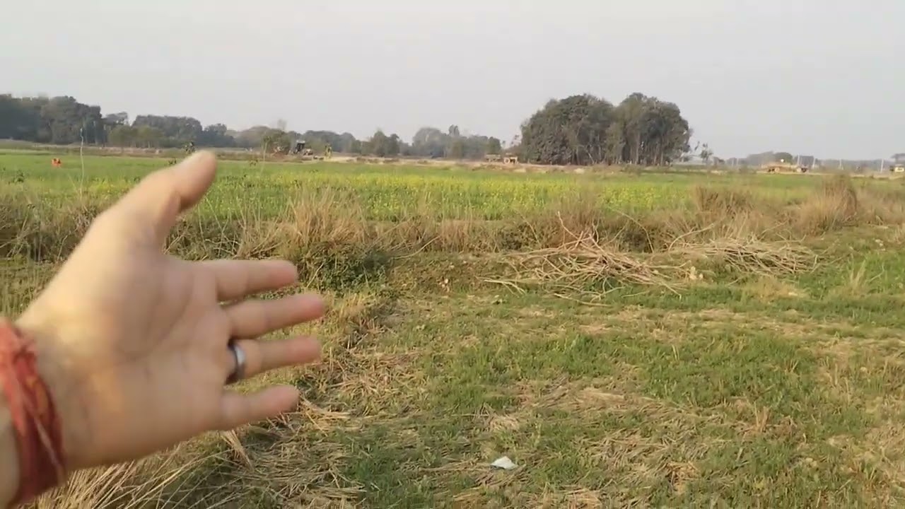 Aaj ham apne kheto me ghumane gaye the