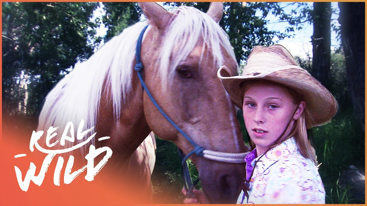 Hero Horse Leads Young Girl To Safety From Being Lost In The Forest | Pet Heroes | Real Wild