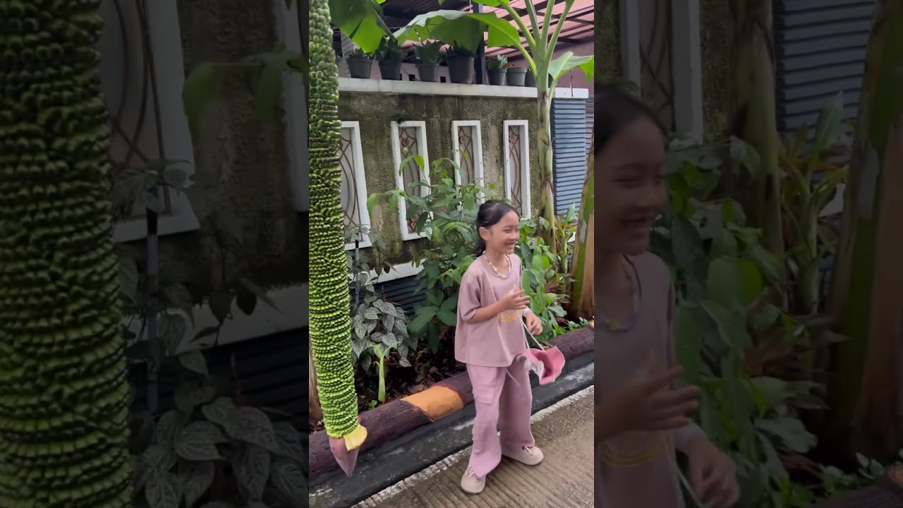 HALO NENG SASA TUH APA POHON PISANG SERIBU ATO DALANG UPIN IPIN❗️