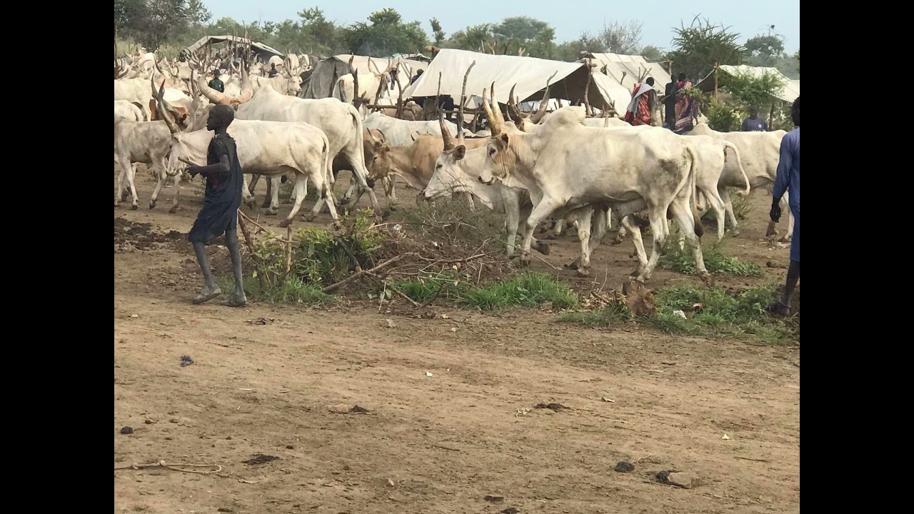 Makuei Deng Tiel from Nyicak's Traditional Songs