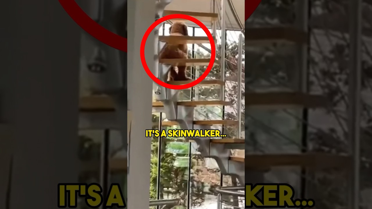 SKINWALKER Pretends to be His Dog&hellip;