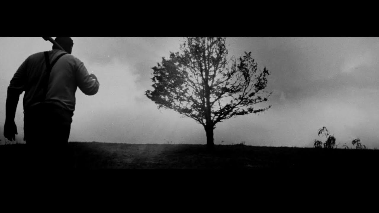 GOD IS AN ASTRONAUT - Barren Trees (Official Video) | Napalm Records