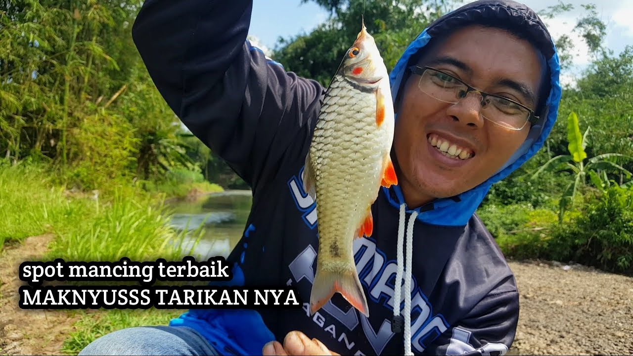 Mancing paling beruntung nemu sarang ikan MARACOCA SUPER