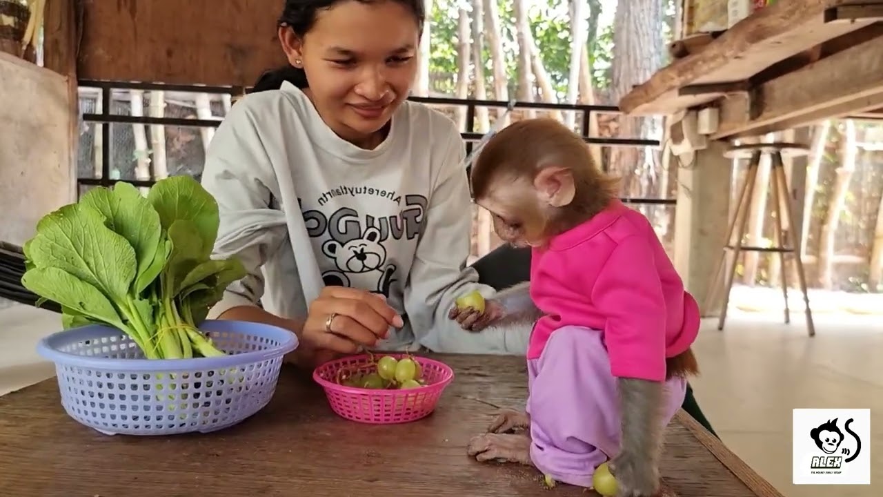 Alex is hungry for cabbage, so he gose to buy vabbage for his mother to make.