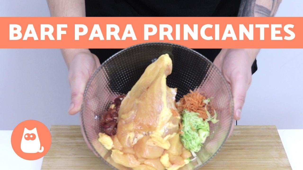 &iquest;C&oacute;mo hacer comida BARF para perros? | PARTE 2