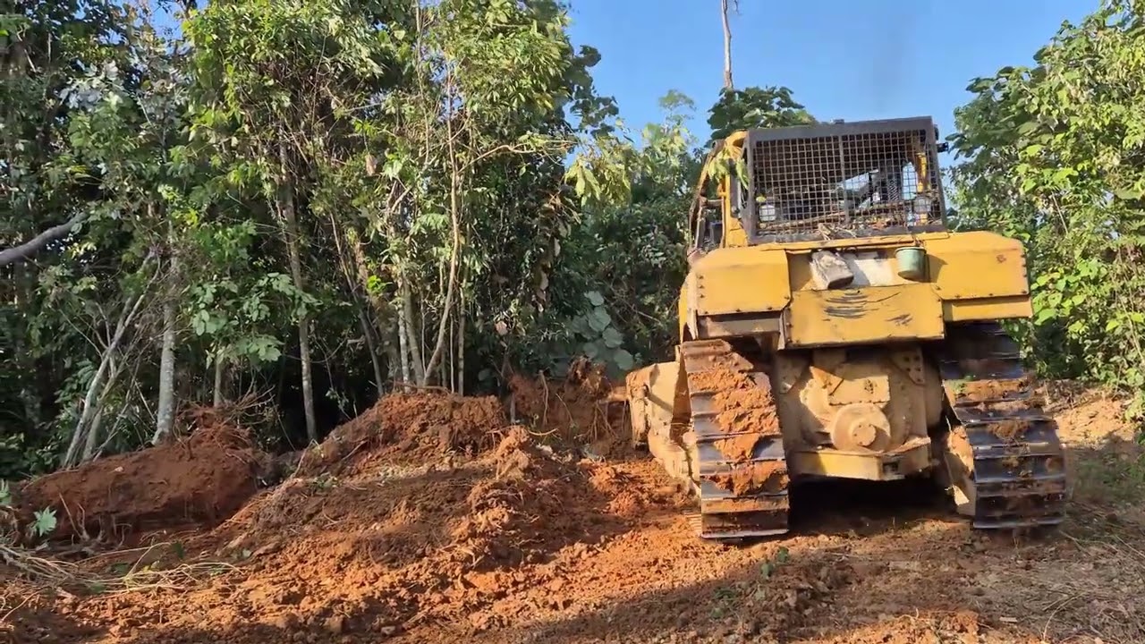 Watch This Giant Dozer Dominate: CAT D6R XL In Action