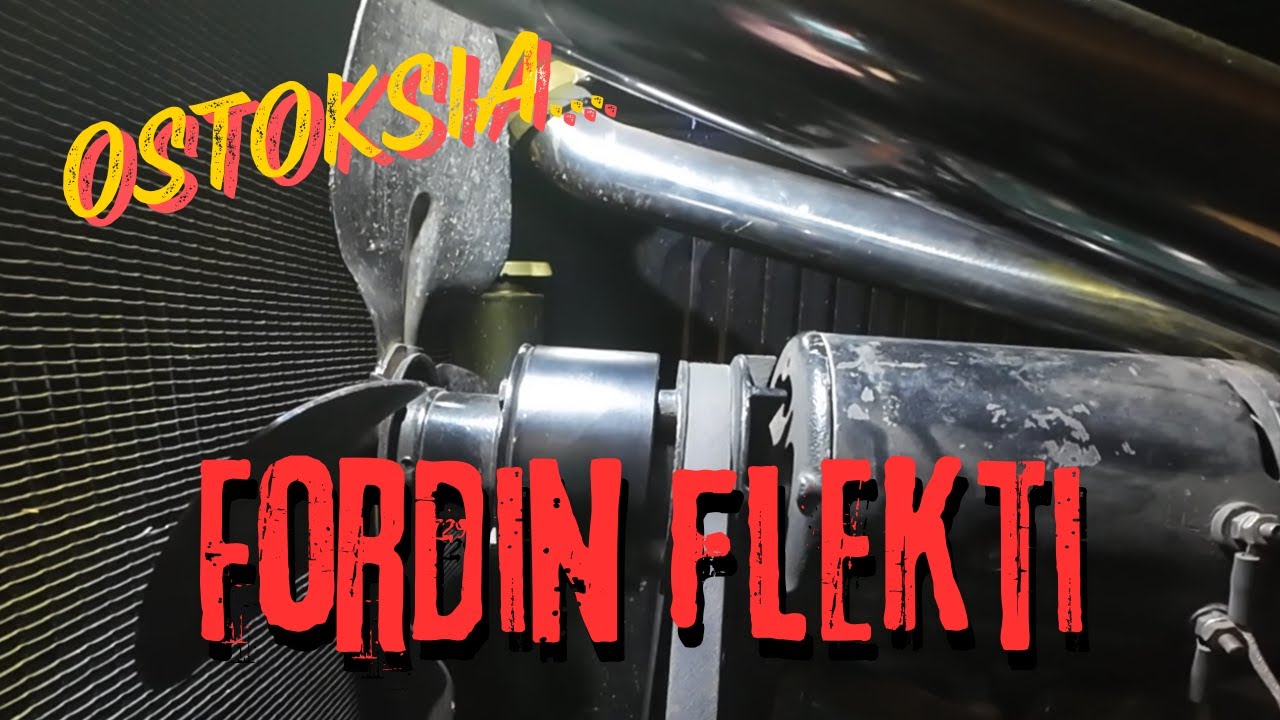 Fordin flekti ja ostoksia