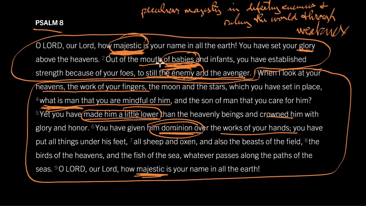 Majesty in Meekness: Psalm 8, Part 2