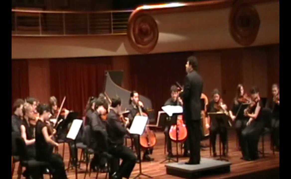 Tchaikovsky - Serenade for Strings in C Major, Op. 48 (4th mov. - Finale)