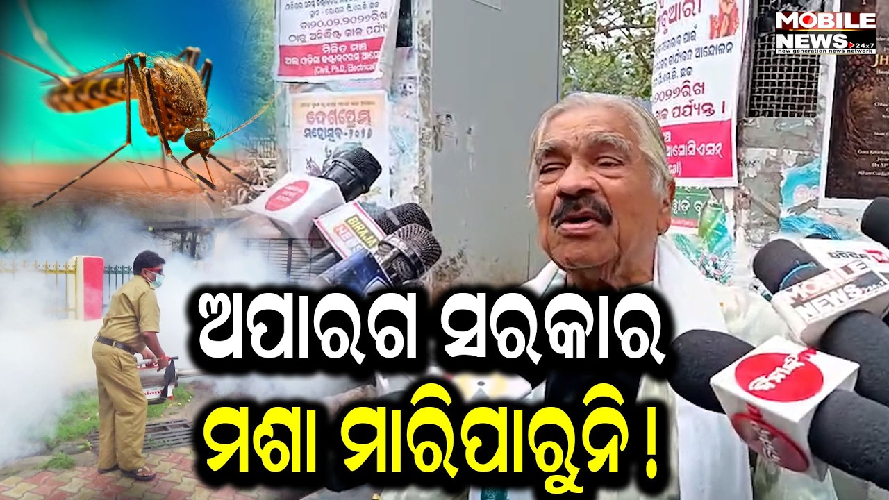 ଭୁବନେଶ୍ୱରରେ ମଶାର ଦାଣ୍ଡବ ; ଗର୍ଜିଲେ ସୁର କହିଲେ ..