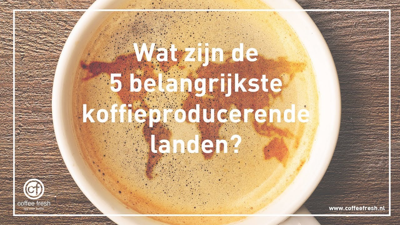 Wat zijn de 5 belangrijkste koffieproducerende landen?