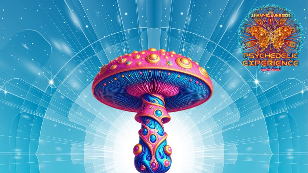 Psychedelic Experience Germany 2025 Warm up (Liquid Soul, Camacho, Talamasca, Hypogeo, Daksinamurti)