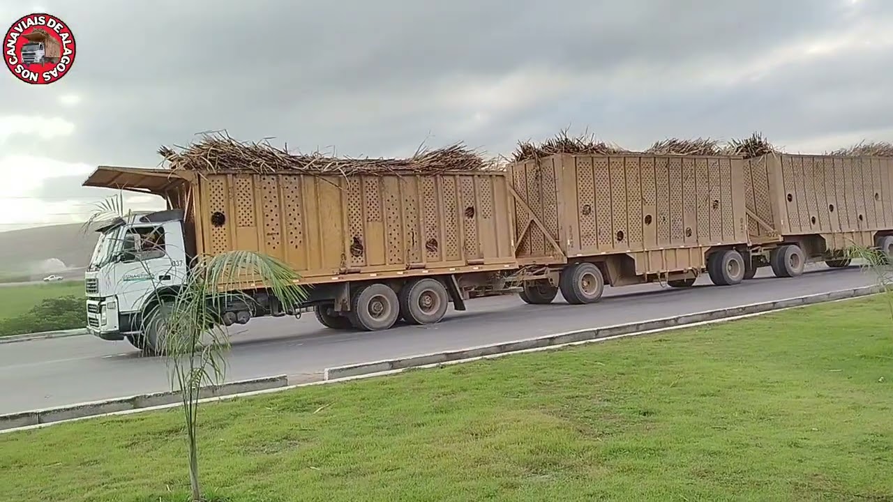 Movimentações final dos caminhões safra 2025/206