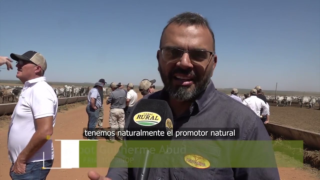 A CORRAL -  En el Mato Groso la producción de carne revela un alto nivel de integración - PARTE 2