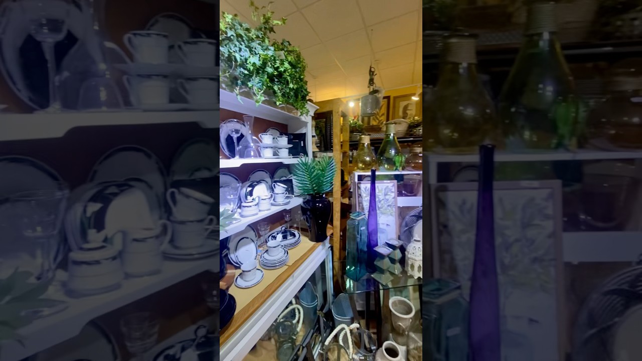 Come thrifting with me in Marco Island, FL 🏝️ #thrifting #thriftingcommunity #thriftwithme #shorts