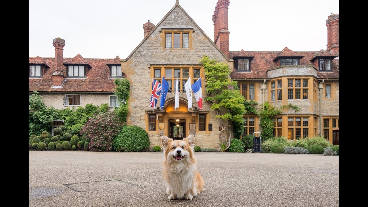 All Four Paws - Le Manoir Aux Quat'Saisons (Sept. 2017)