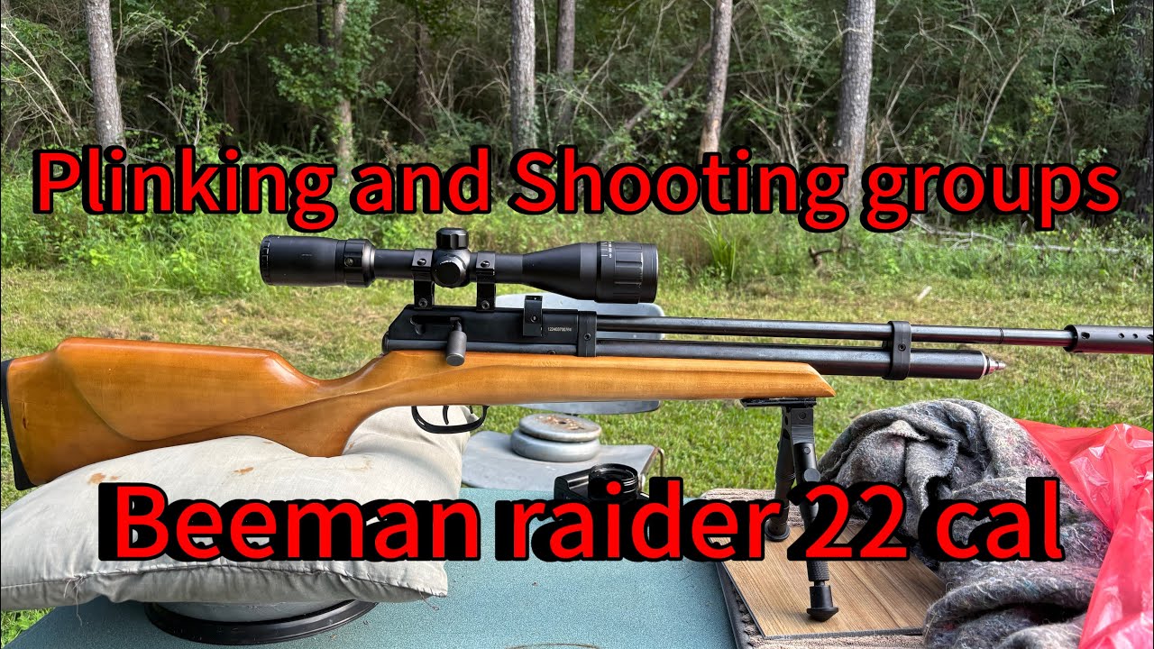 Beeman raider 22 cal shooting groups and plinking 