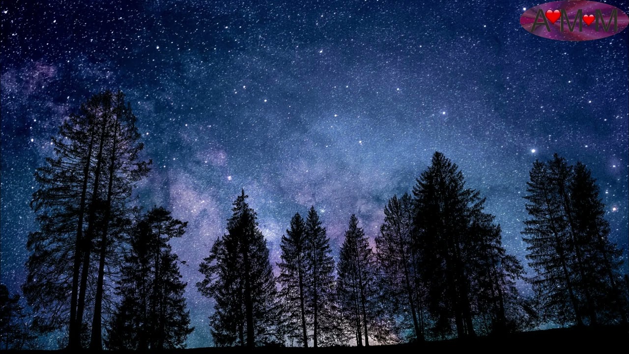 Grillen in einer Sommernacht - Entspannende Ger&auml;usche der Natur.