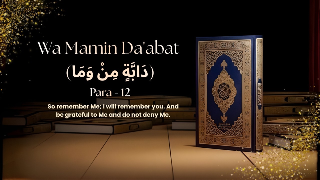Wa Mamin Da'abat (دَابَّةٍ مِنْ وَمَا) | Para - 12 | Quran Sharif Paras | Full Quran #qurantilawat